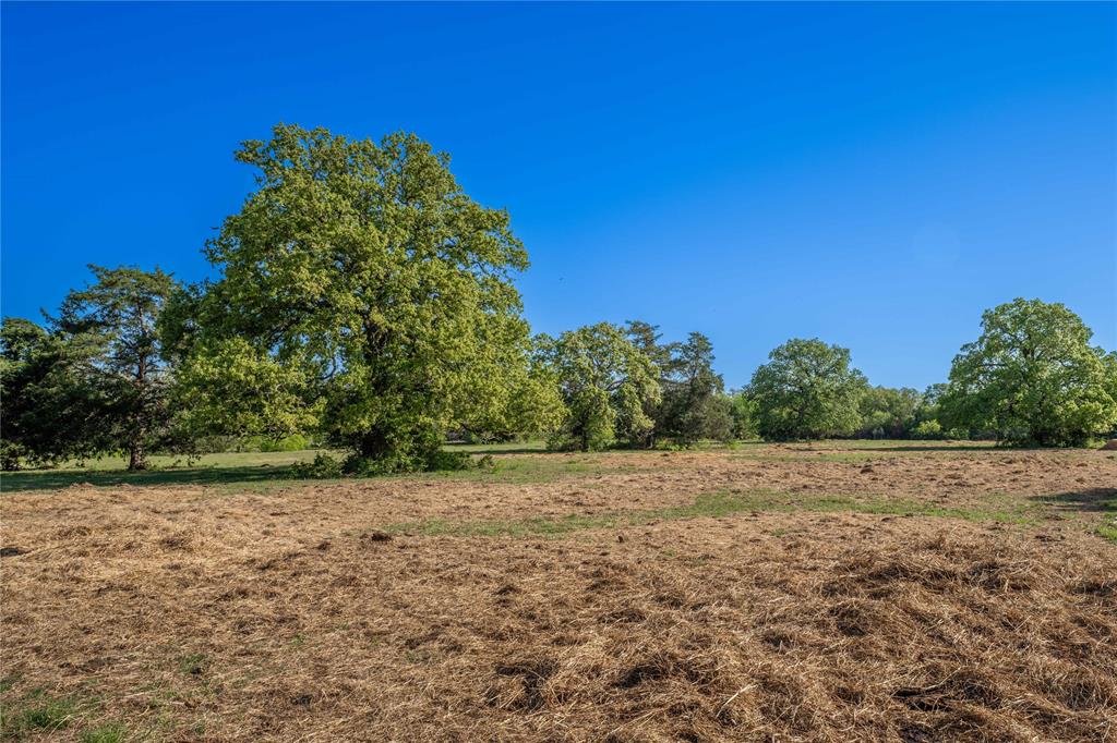 7122 Taplin Lane, Burton, Texas image 3
