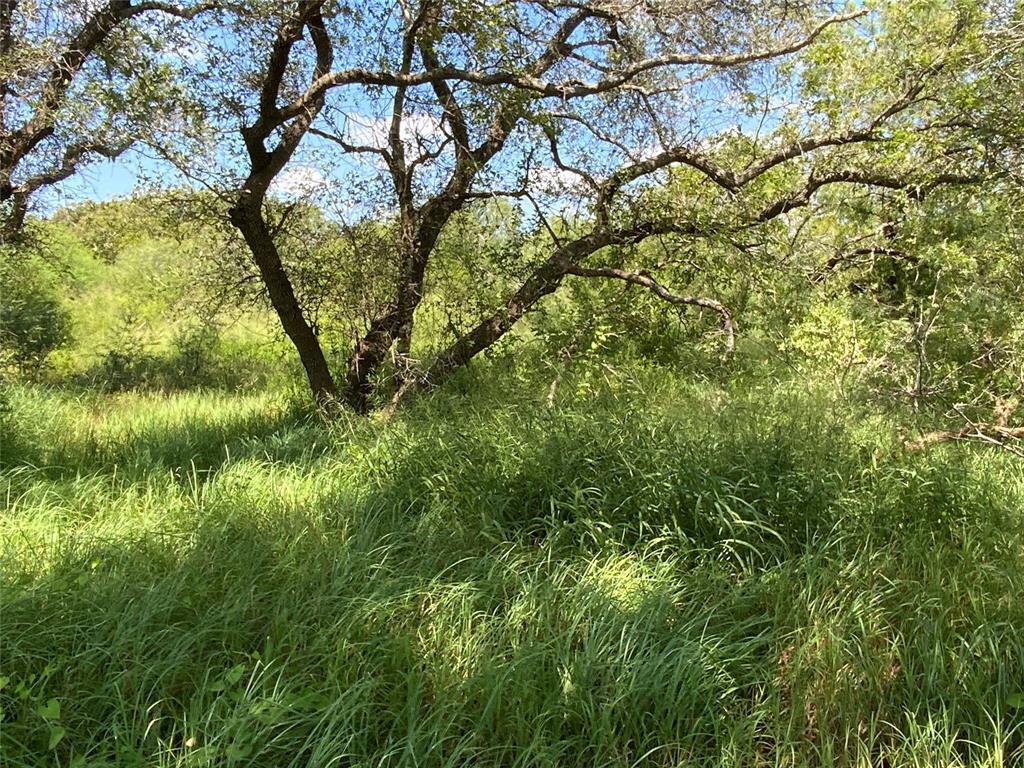 TBD County Rd 1144, Sinton, Texas image 10