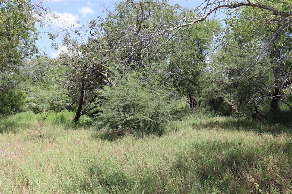 TBD County Rd 1144, Sinton, Texas image 8