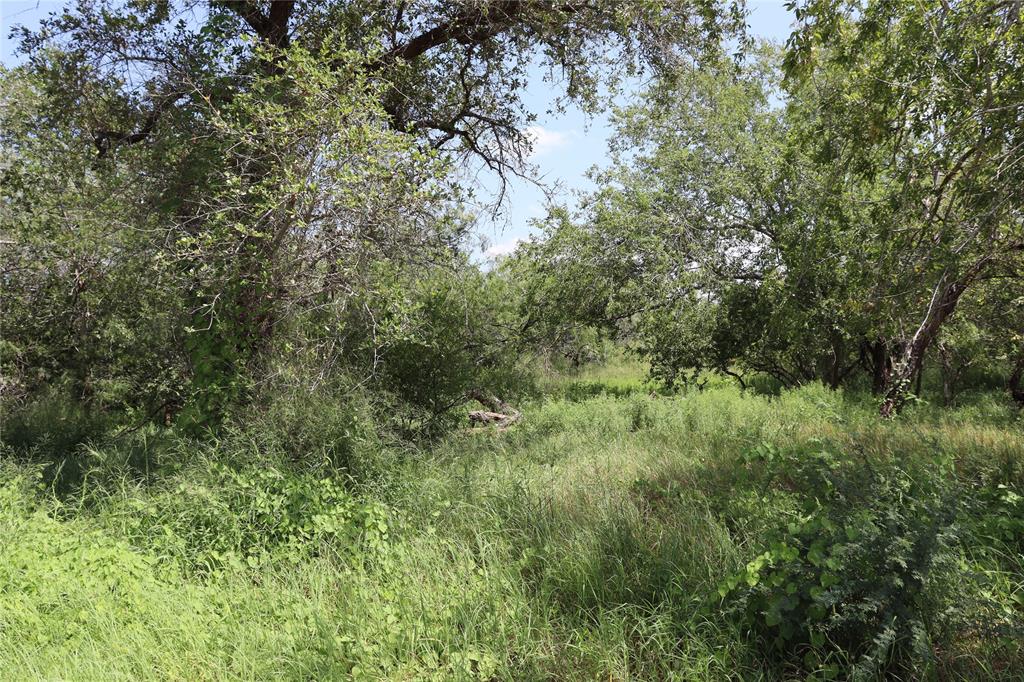 TBD County Rd 1144, Sinton, Texas image 1