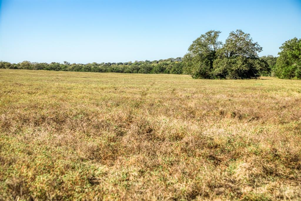 05 Sawmill Road Tract 5, Brenham, Texas image 4