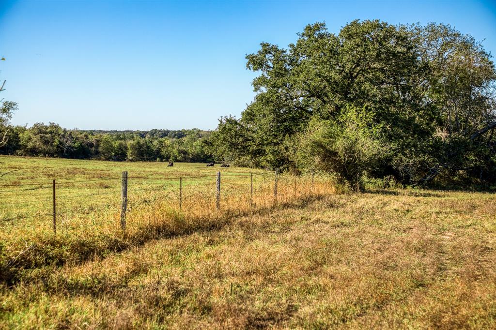 05 Sawmill Road Tract 5, Brenham, Texas image 3