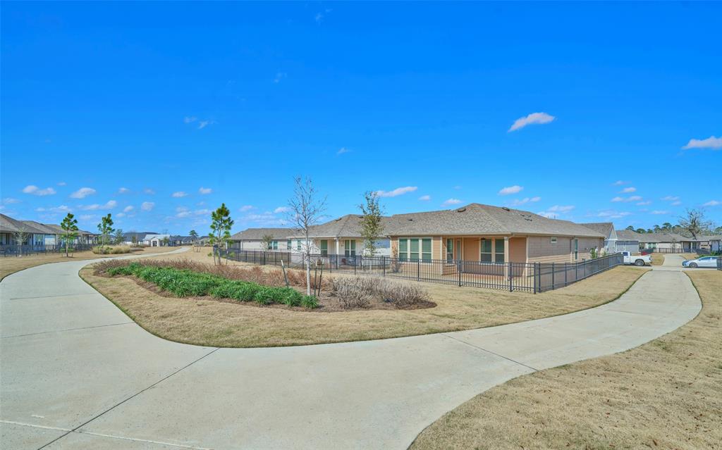 9919 Monarch Landing Cove, Willis, Texas image 4