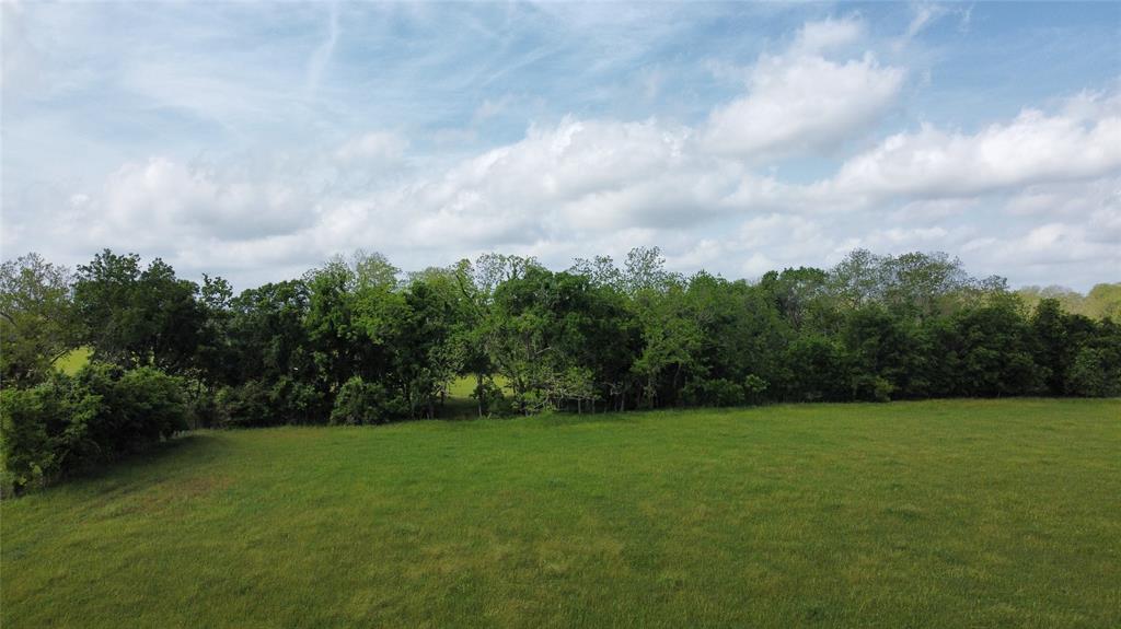 6707 Fm-1728, Pledger, Texas image 16