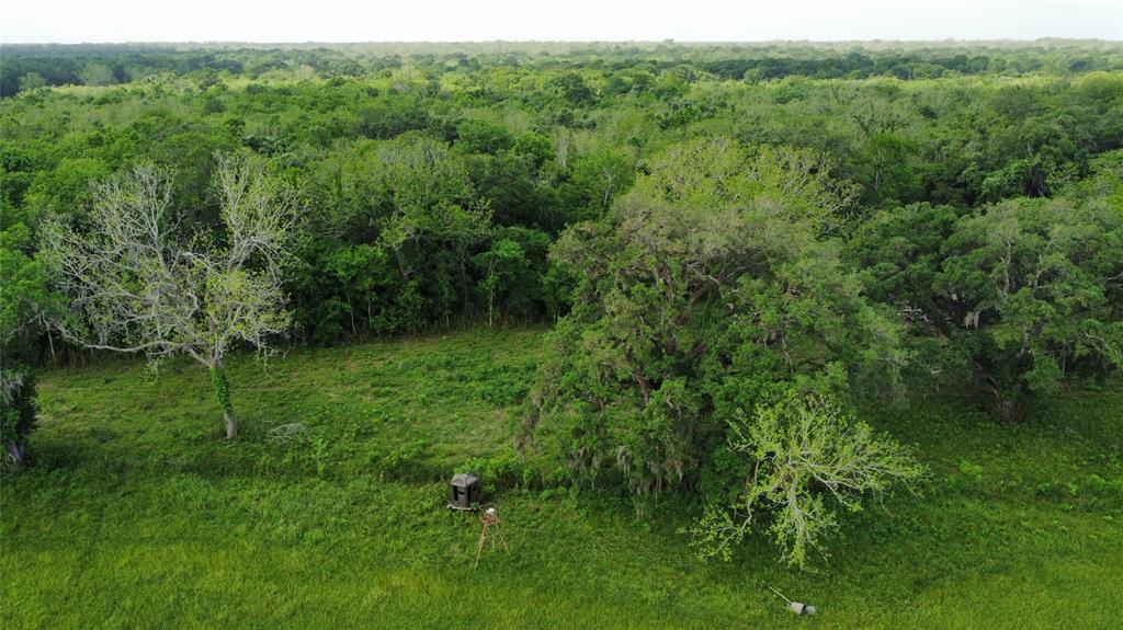 6707 Fm-1728, Pledger, Texas image 7