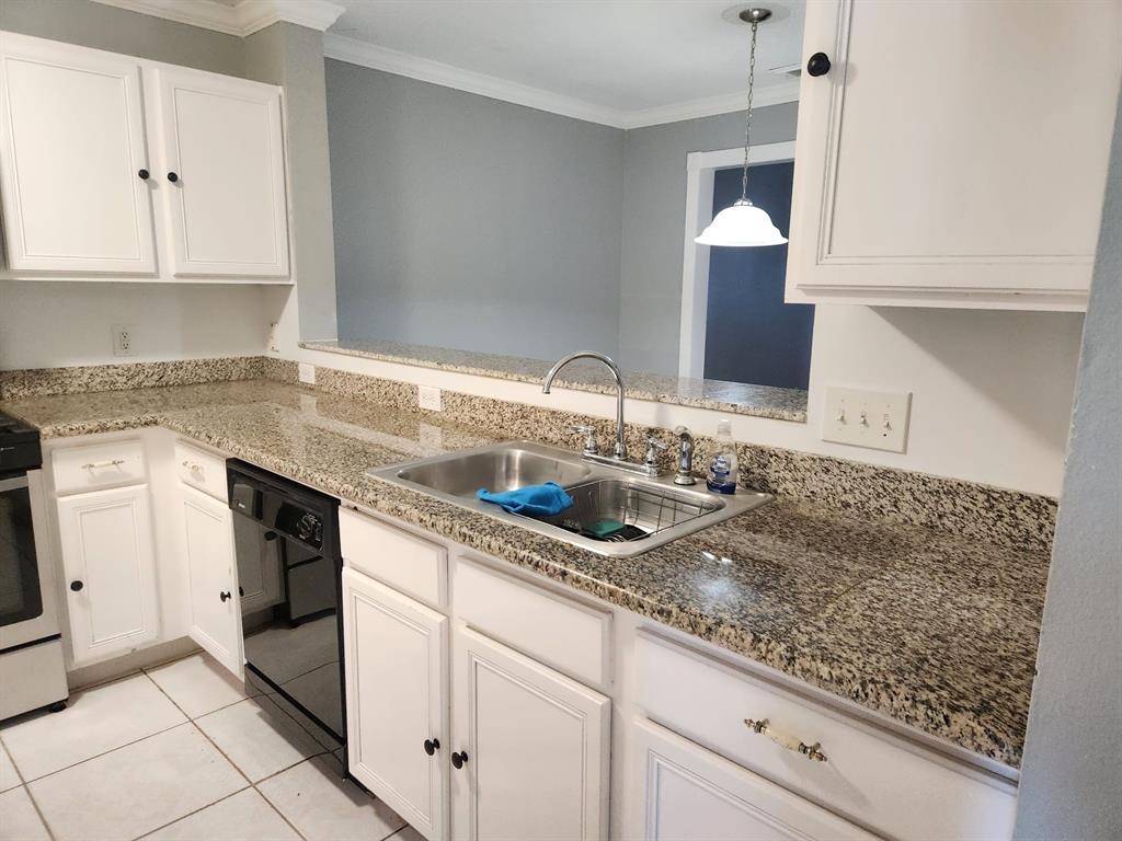 11123 Cayman Mist Drive, Houston, Texas image 11