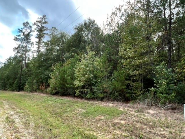 00 Grand View, Huntsville, Texas image 3