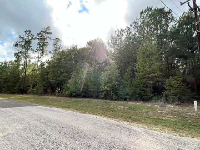 00 Grand View, Huntsville, Texas image 2