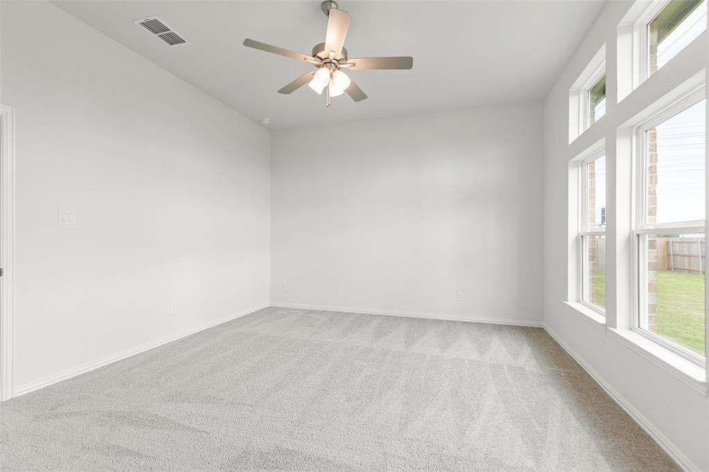 4924 Blue Pearl Lane, League City, Texas image 33