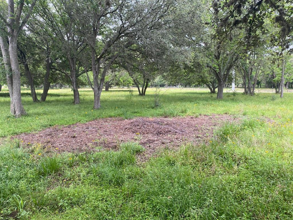 I-10 Frontage Evans, Alleyton, Texas image 18