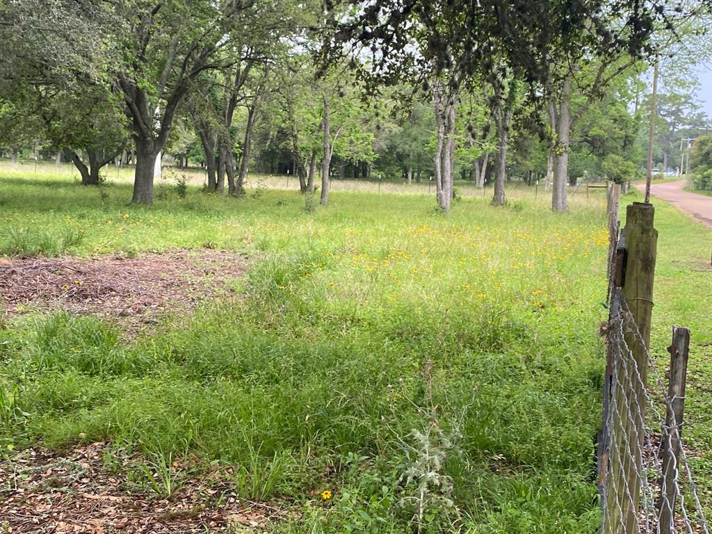 I-10 Frontage Evans, Alleyton, Texas image 22