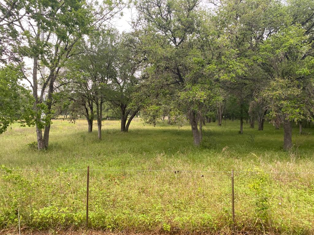 I-10 Frontage Evans, Alleyton, Texas image 15