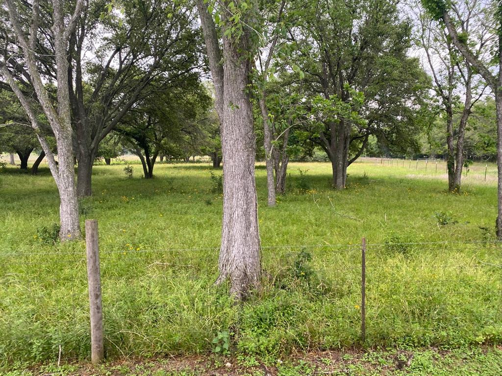 I-10 Frontage Evans, Alleyton, Texas image 16