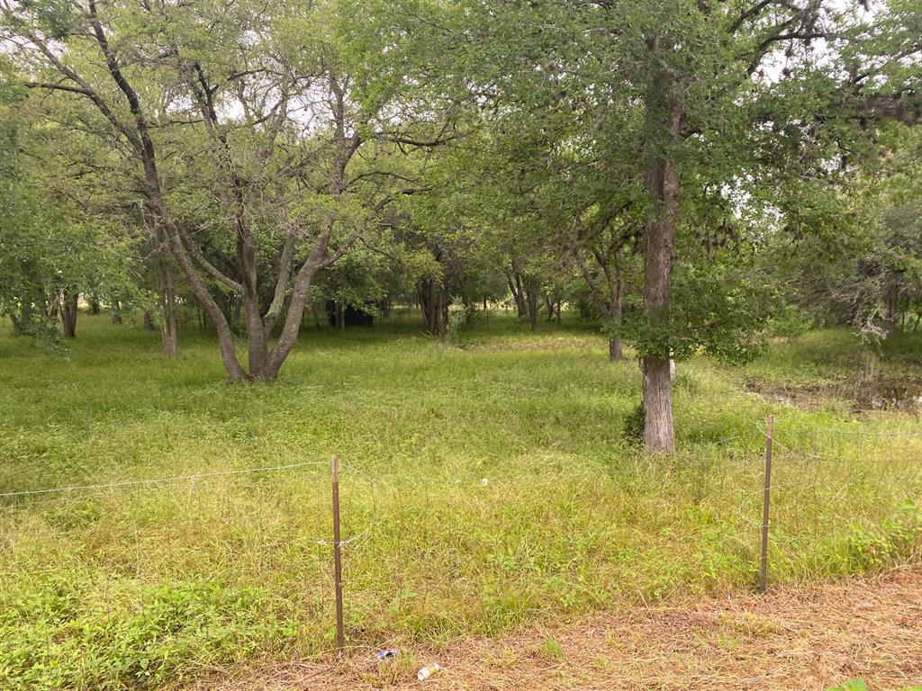 I-10 Frontage Evans, Alleyton, Texas image 13