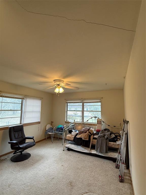 4109 Laura Lane, Bryan, Texas image 10