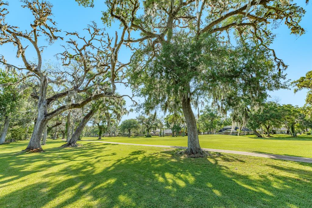 255 S Amherst Drive, West Columbia, Texas image 13