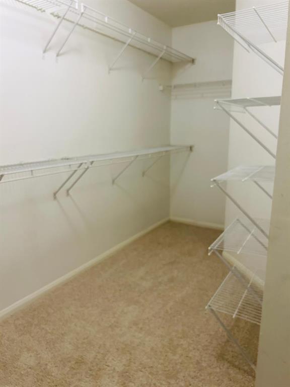 2415 Teal Run Place Drive, Fresno, Texas image 21