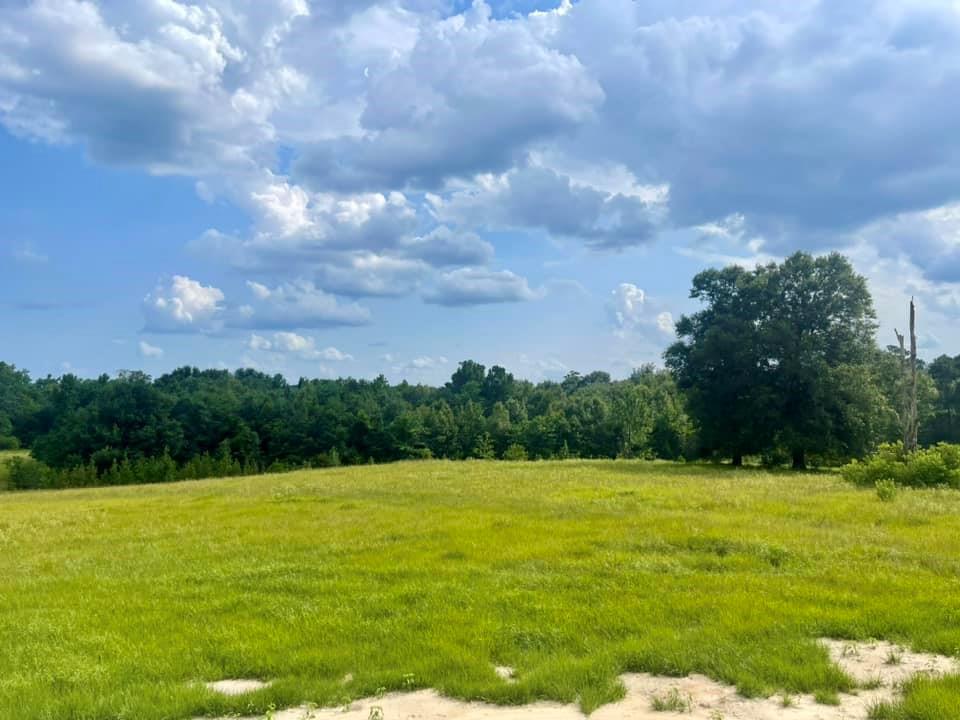 TBD Lakeland Ranch Lot 364, Hillister, Texas image 15