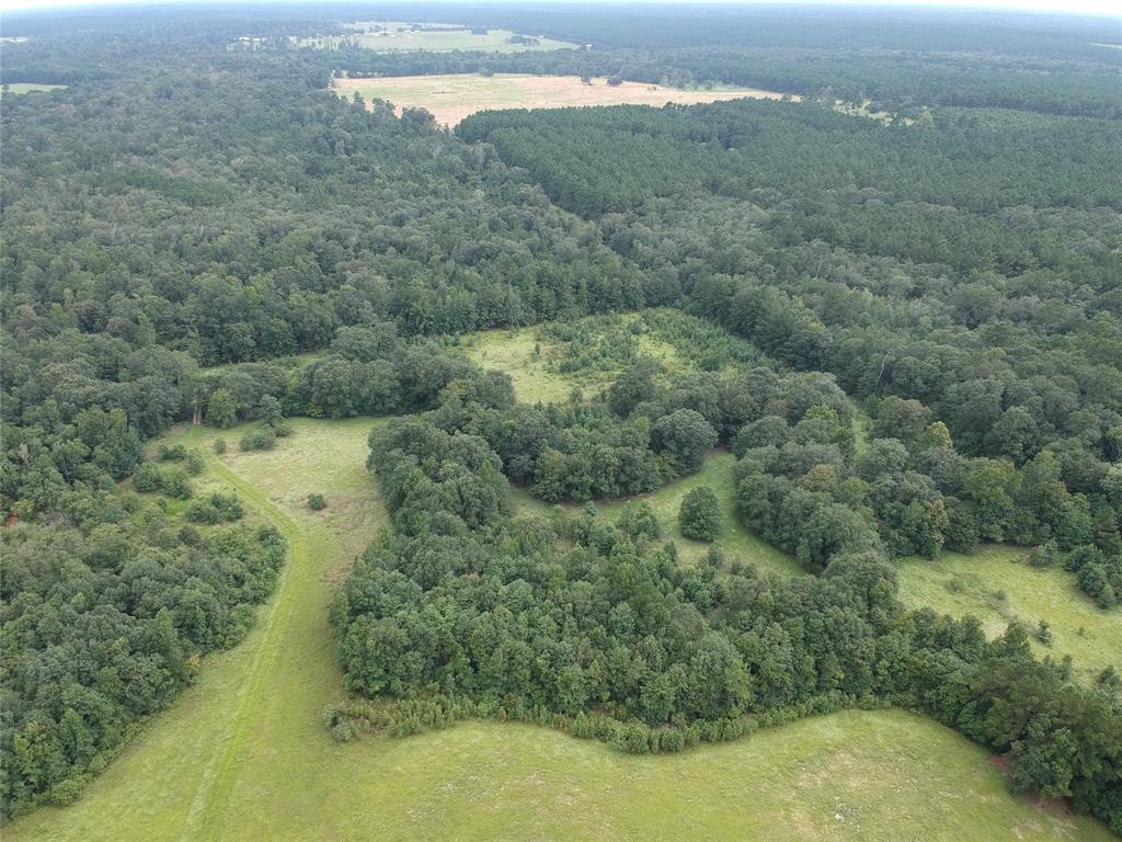 TBD Lakeland Ranch Lot 364, Hillister, Texas image 8