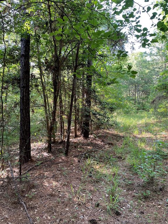 2 Us Highway 190 E Drive, Huntsville, Texas image 8