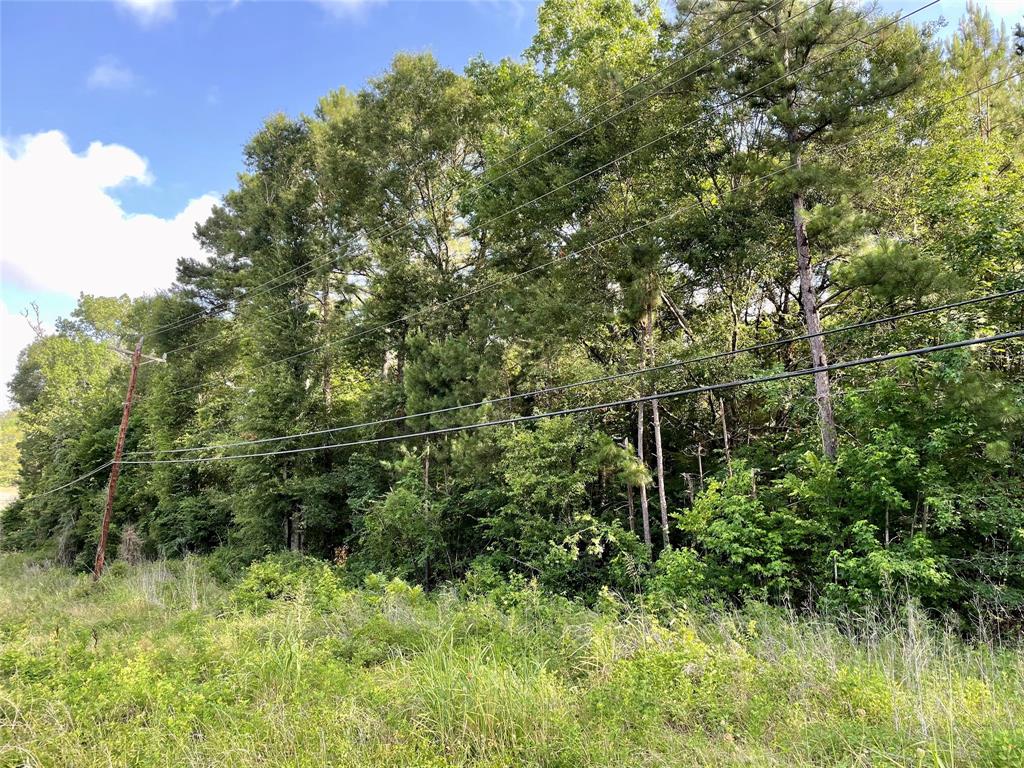 2 Us Highway 190 E Drive, Huntsville, Texas image 4