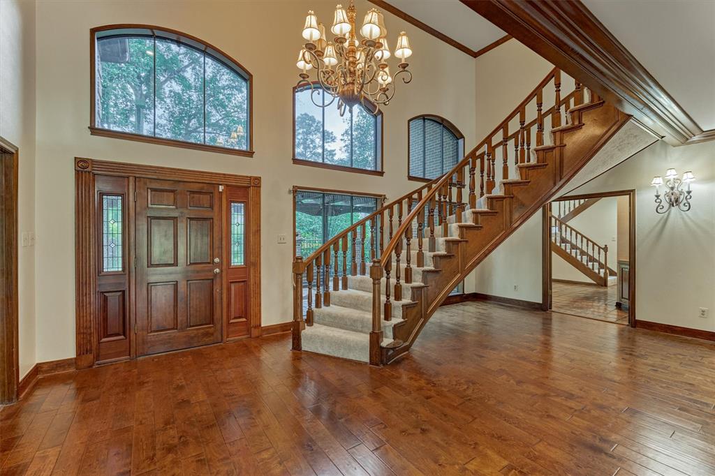 10 Doe Run Drive, The Woodlands, Texas image 6