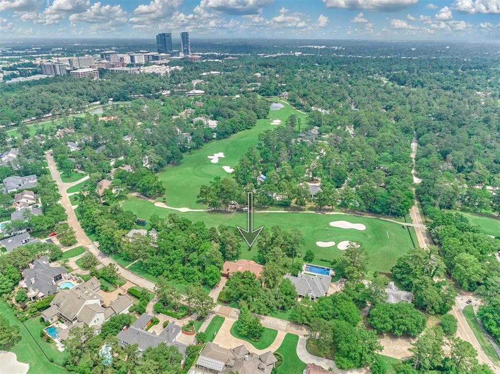 10 Doe Run Drive, The Woodlands, Texas image 1