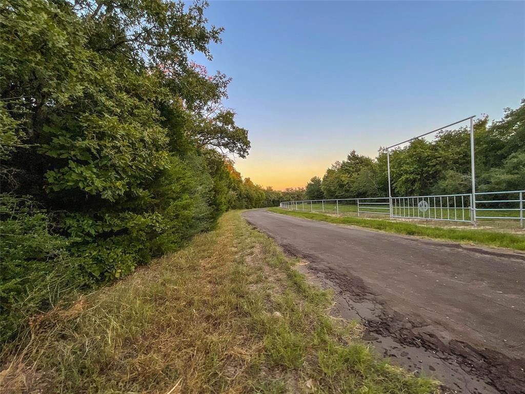 TBD Hwy 7 And Lcr 706 - 229 Acres, Kosse, Texas image 9