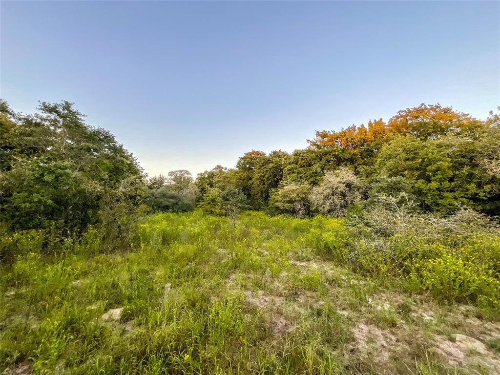 TBD Hwy 7 And Lcr 706 - 229 Acres, Kosse, Texas image 7