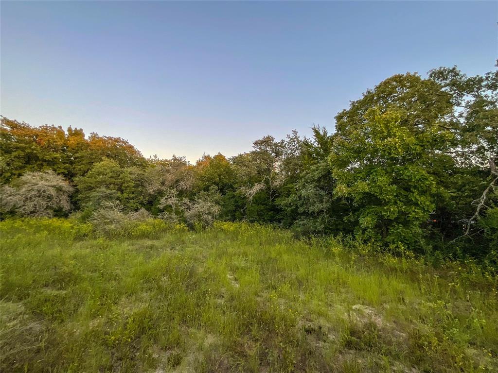 TBD Hwy 7 And Lcr 706 - 229 Acres, Kosse, Texas image 8