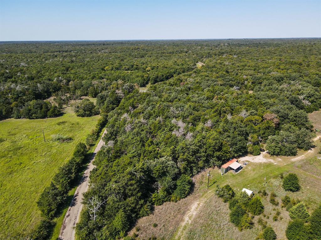 TBD Hwy 7 And Lcr 706 - 229 Acres, Kosse, Texas image 3