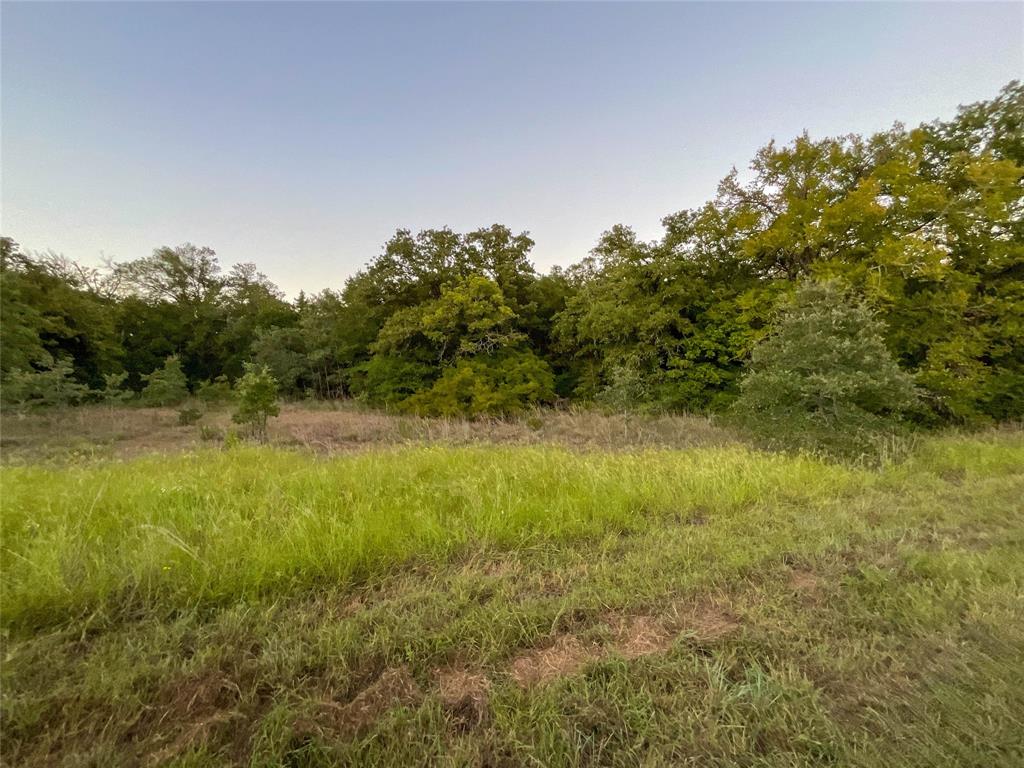 TBD Hwy 7 And Lcr 706 - 229 Acres, Kosse, Texas image 10