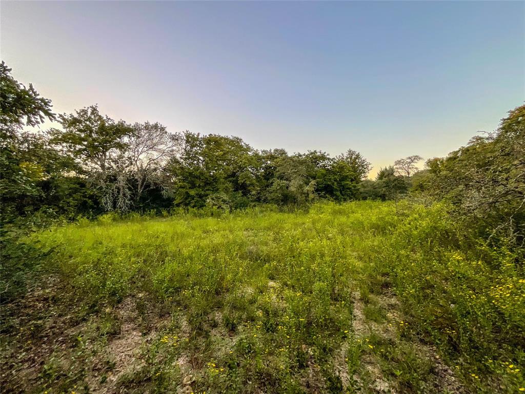 TBD Hwy 7 And Lcr 706 - 229 Acres, Kosse, Texas image 6