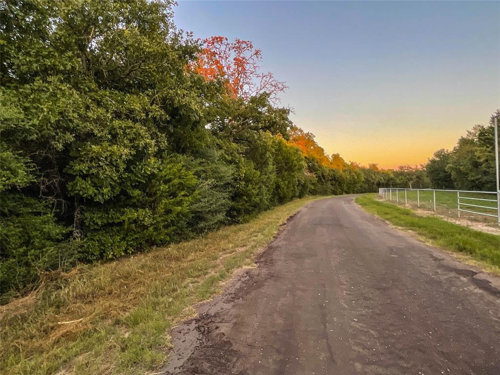 TBD Hwy 7 And Lcr 706 - 229 Acres, Kosse, Texas image 4