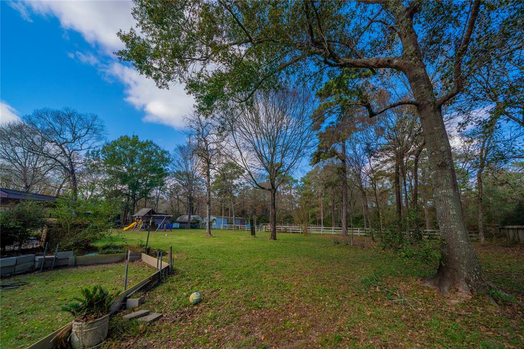 22306 Three Pines Drive, Hockley, Texas image 9