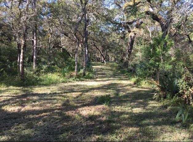 000 Pr 648 Cedar Lake, Bay City, Texas image 7