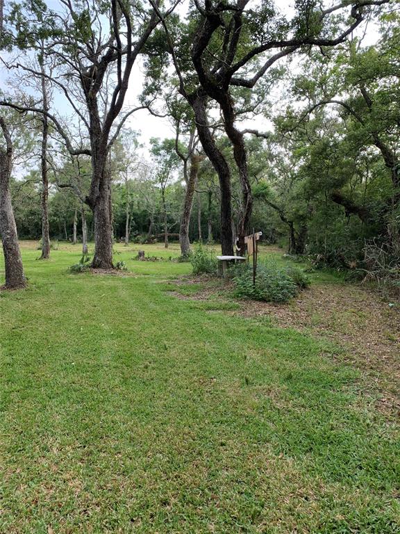 000 Pr 648 Cedar Lake, Bay City, Texas image 13