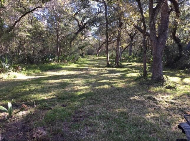 000 Pr 648 Cedar Lake, Bay City, Texas image 3
