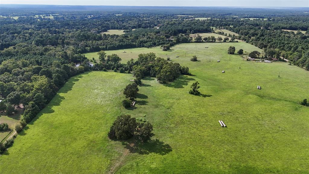 00 County Road 1640, Grapeland, Texas image 3