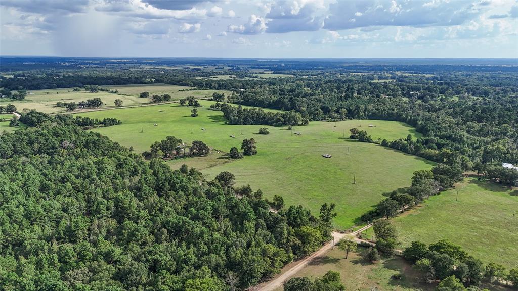 00 County Road 1640, Grapeland, Texas image 4