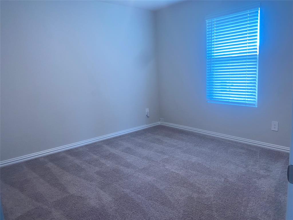 205 Caliber Court, Princeton, Texas image 32