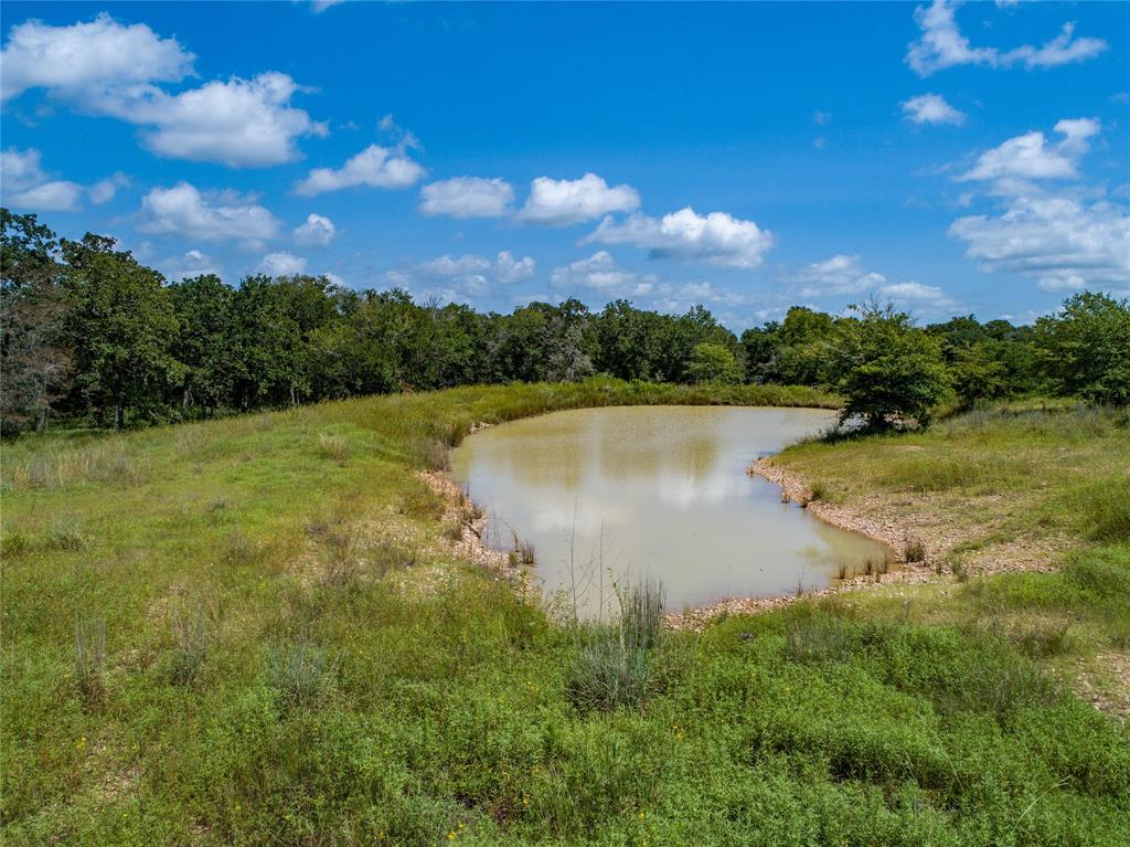 125 Huenefeld Lane, Round Top, Texas image 19