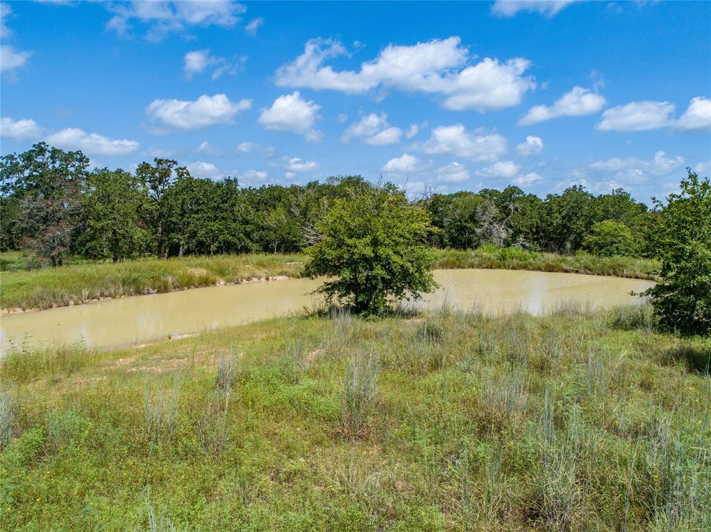 125 Huenefeld Lane, Round Top, Texas image 18