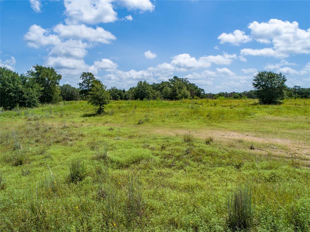 125 Huenefeld Lane, Round Top, Texas image 22