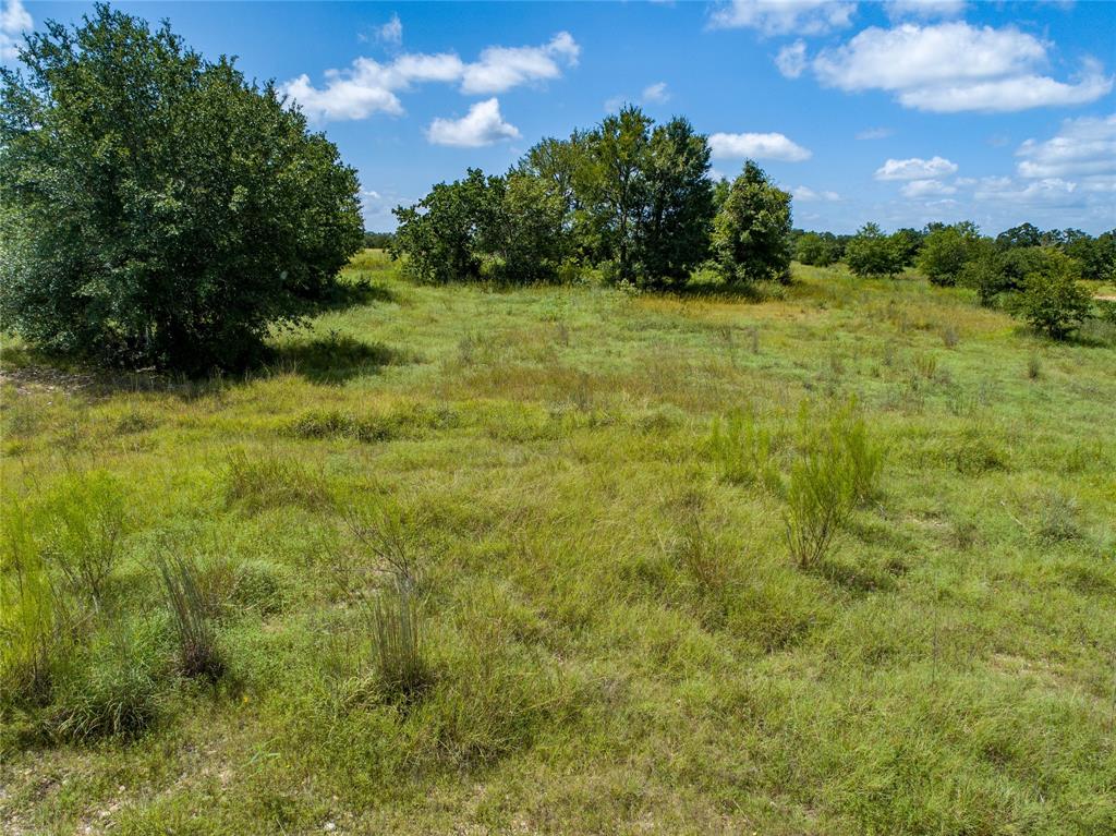 125 Huenefeld Lane, Round Top, Texas image 23