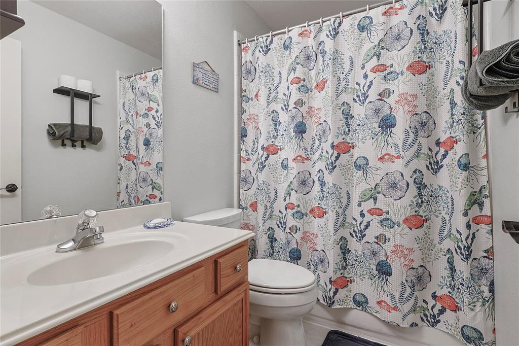 739 Apple Blossom Drive, Pearland, Texas image 17
