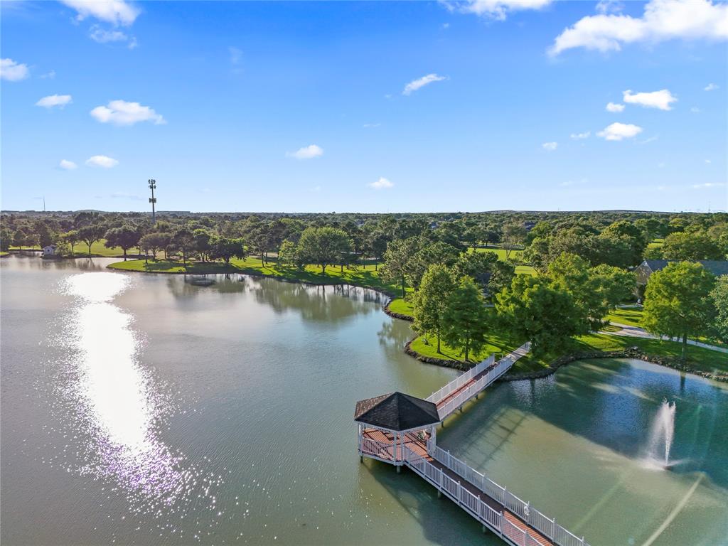 739 Apple Blossom Drive, Pearland, Texas image 23