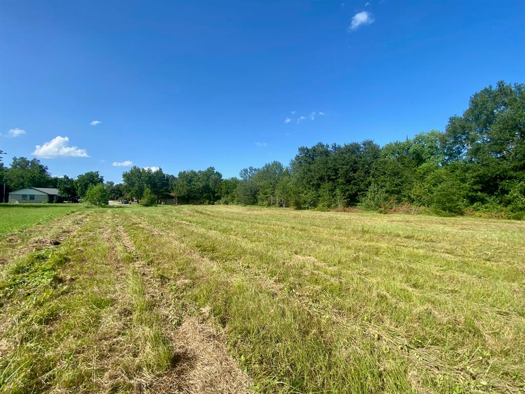 Lot #134 Jb Mcduff Drive, Crockett, Texas image 5