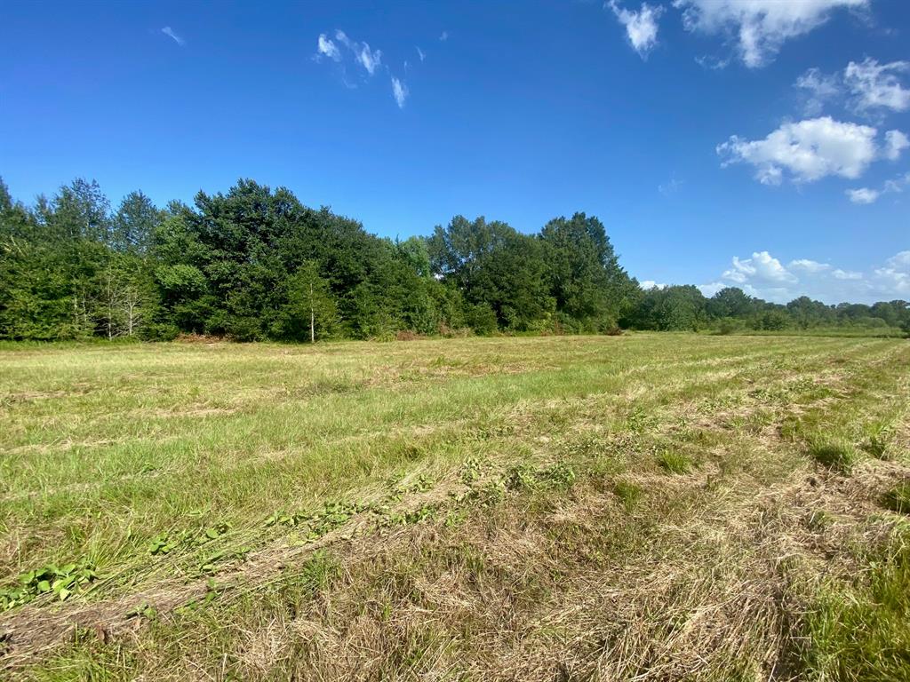 Lot #134 Jb Mcduff Drive, Crockett, Texas image 3