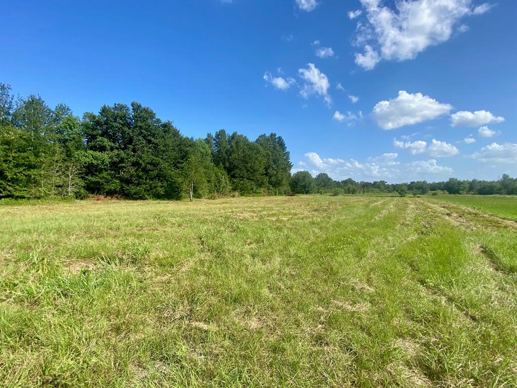 Lot #134 Jb Mcduff Drive, Crockett, Texas image 8